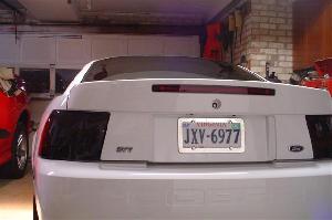 TAILLIGHT BLACK OUTS 1.JPG